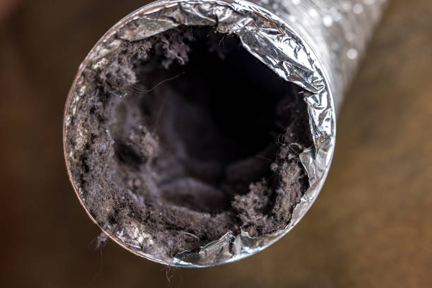Best Best Air Duct Cleaning Company  in Weston, MO
