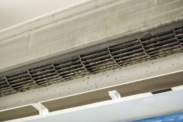 Best Air Duct Cleaning Near Me  in Weston, MO